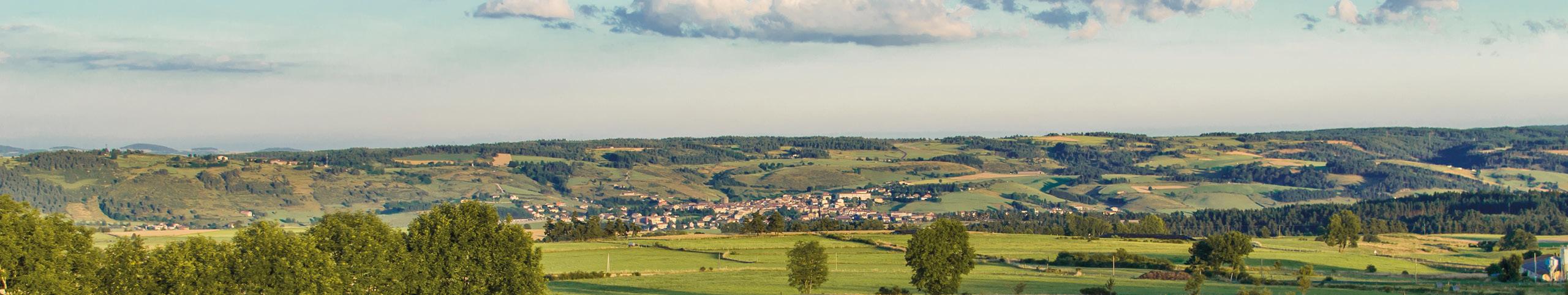 Banner Elzas - Frankrijk